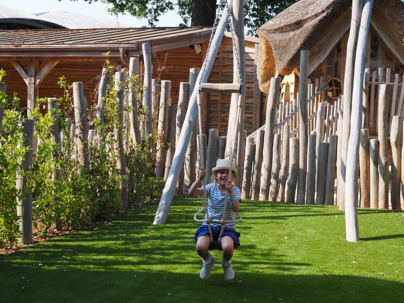 Young child on a swing.