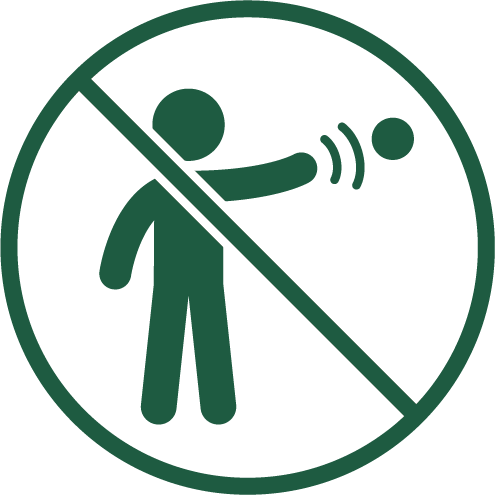 Do not throw items that could cause injury or disruption icon.