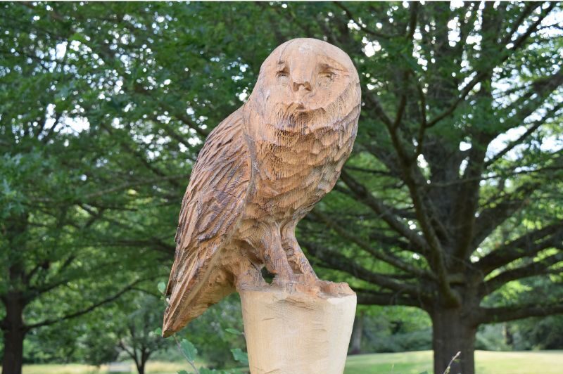 Wood carving of an owl.