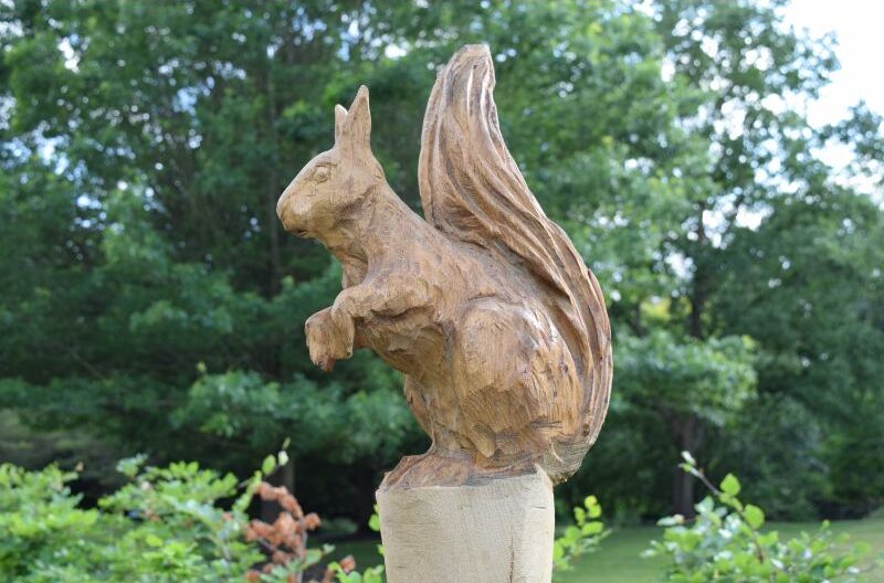 Wood carving of a Squirrel.