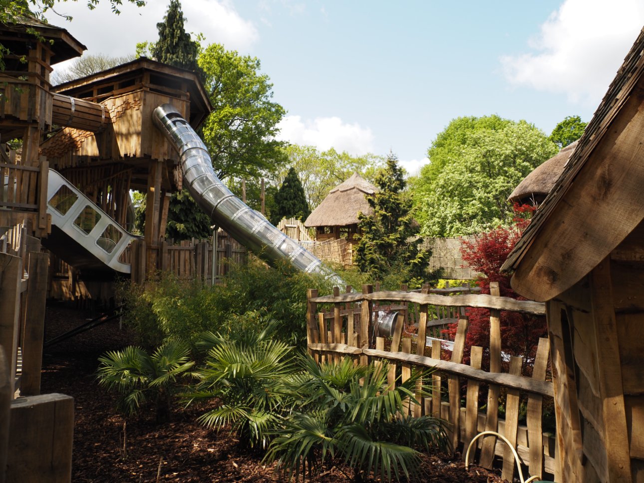 View of Adventure Play treehouses with trees and green vegetation.