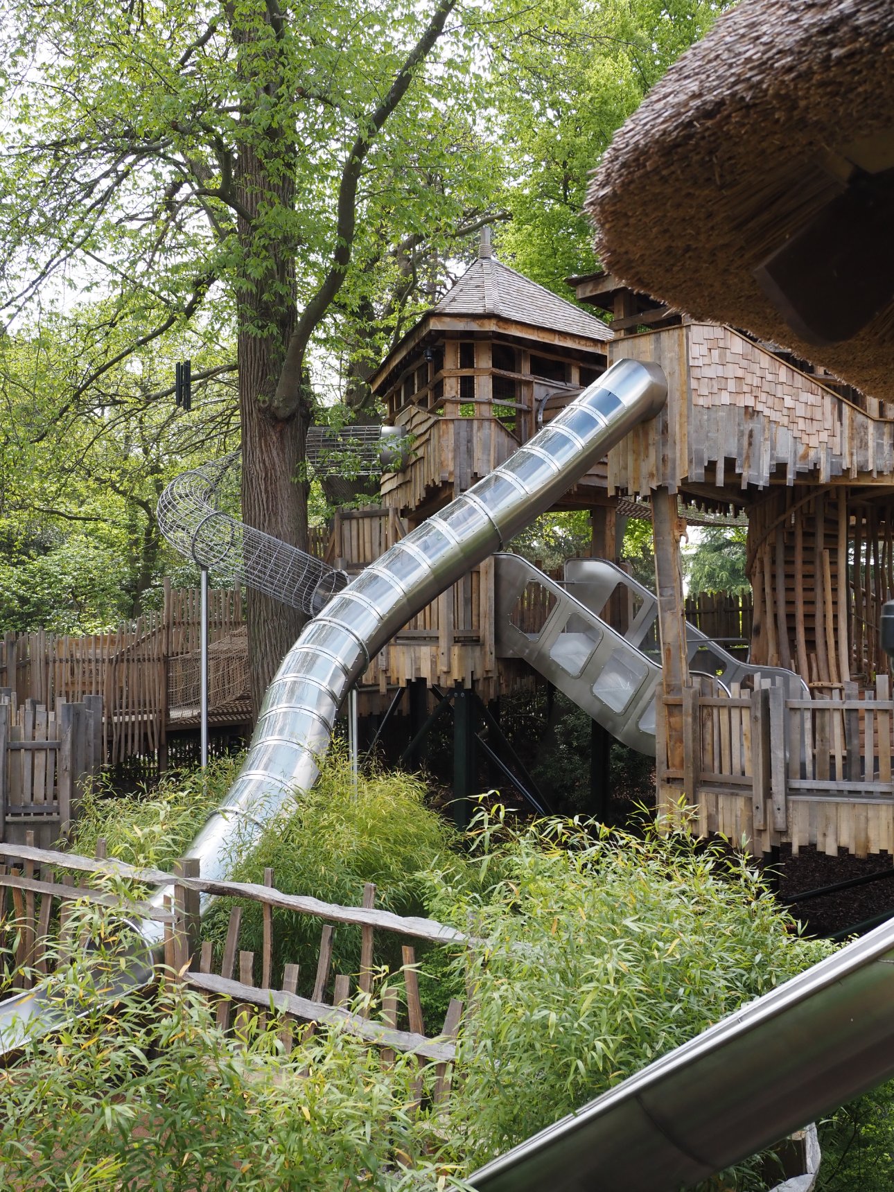 View of Adventure Play slides surrounded by green vegetation.