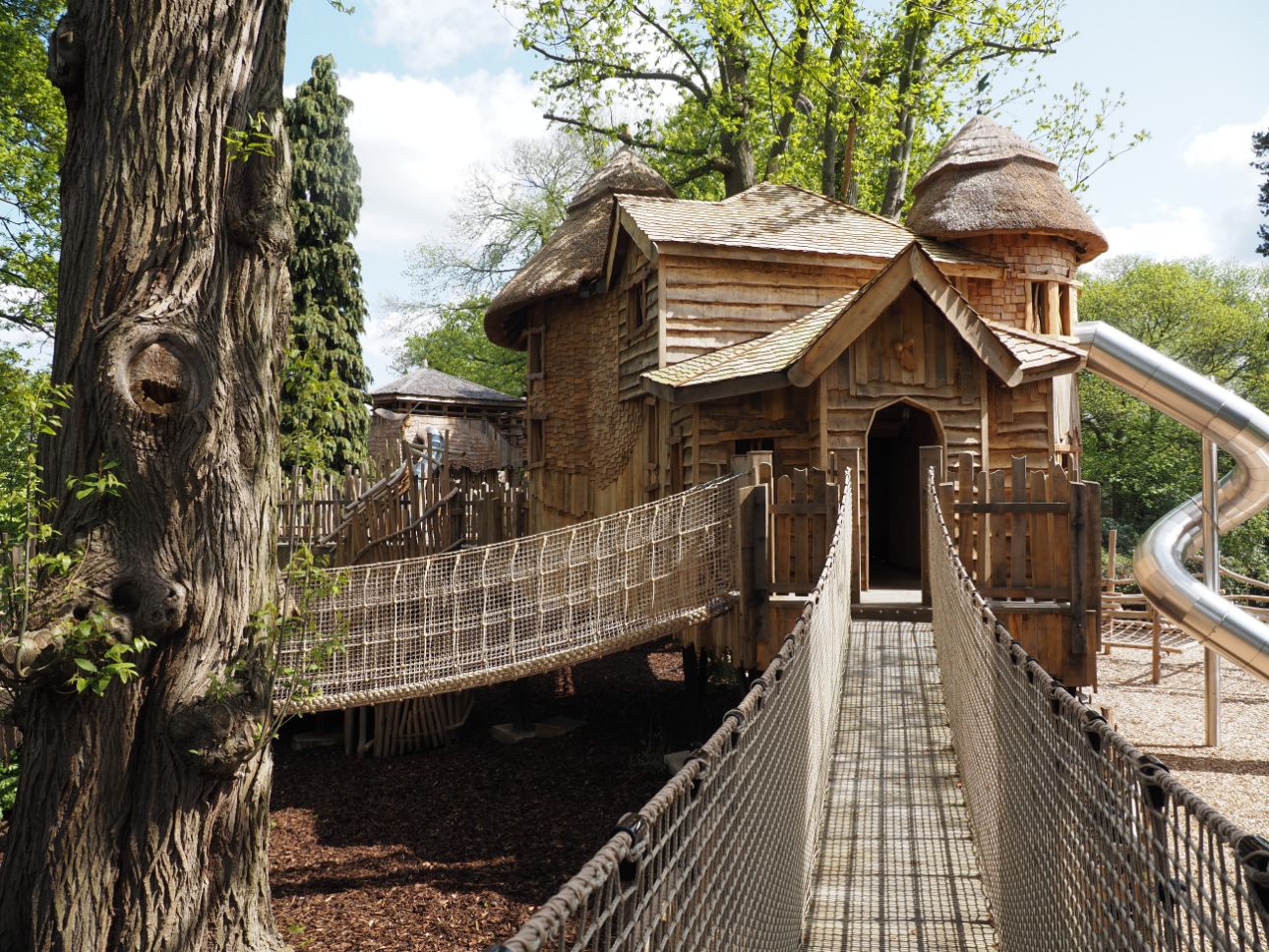 Tree houses with slides to the ground. Fencing with green foliage and a purple Acer.