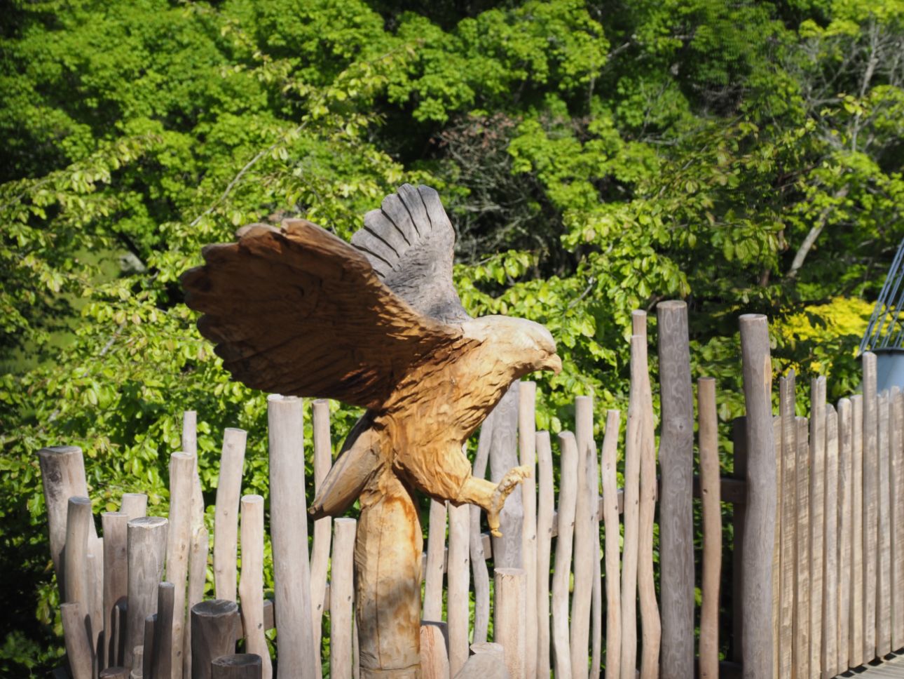 A carved wooden Eagle.