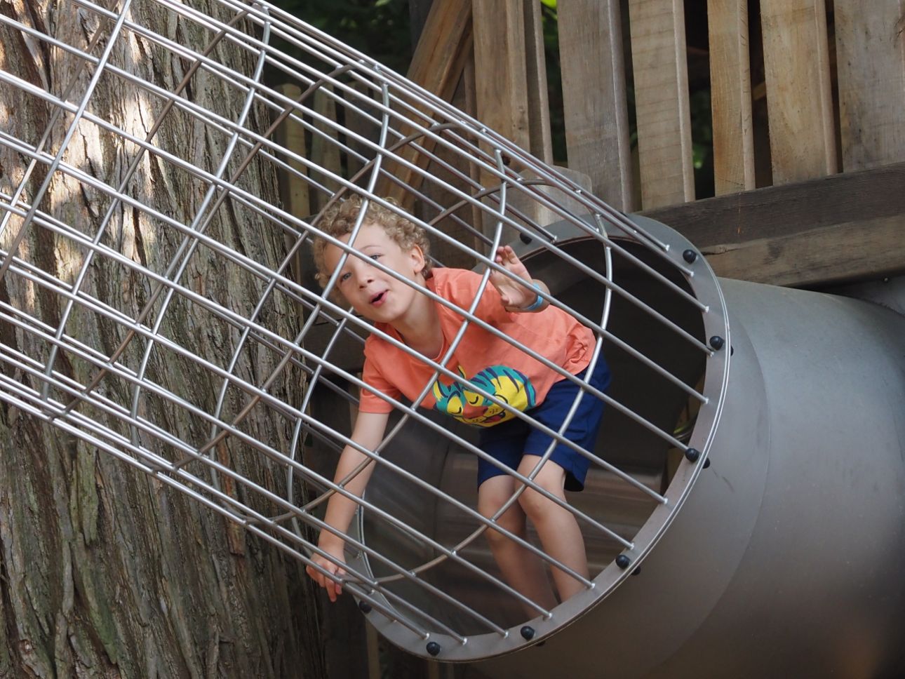 Young child climbing through a metal frame.