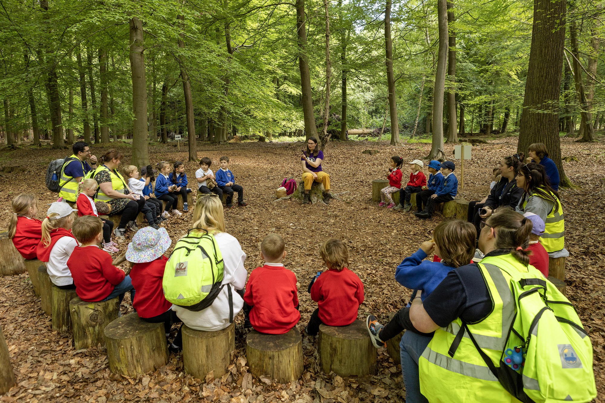 Group of young children sitting on logs surrounded by trees. Adults are supervising.