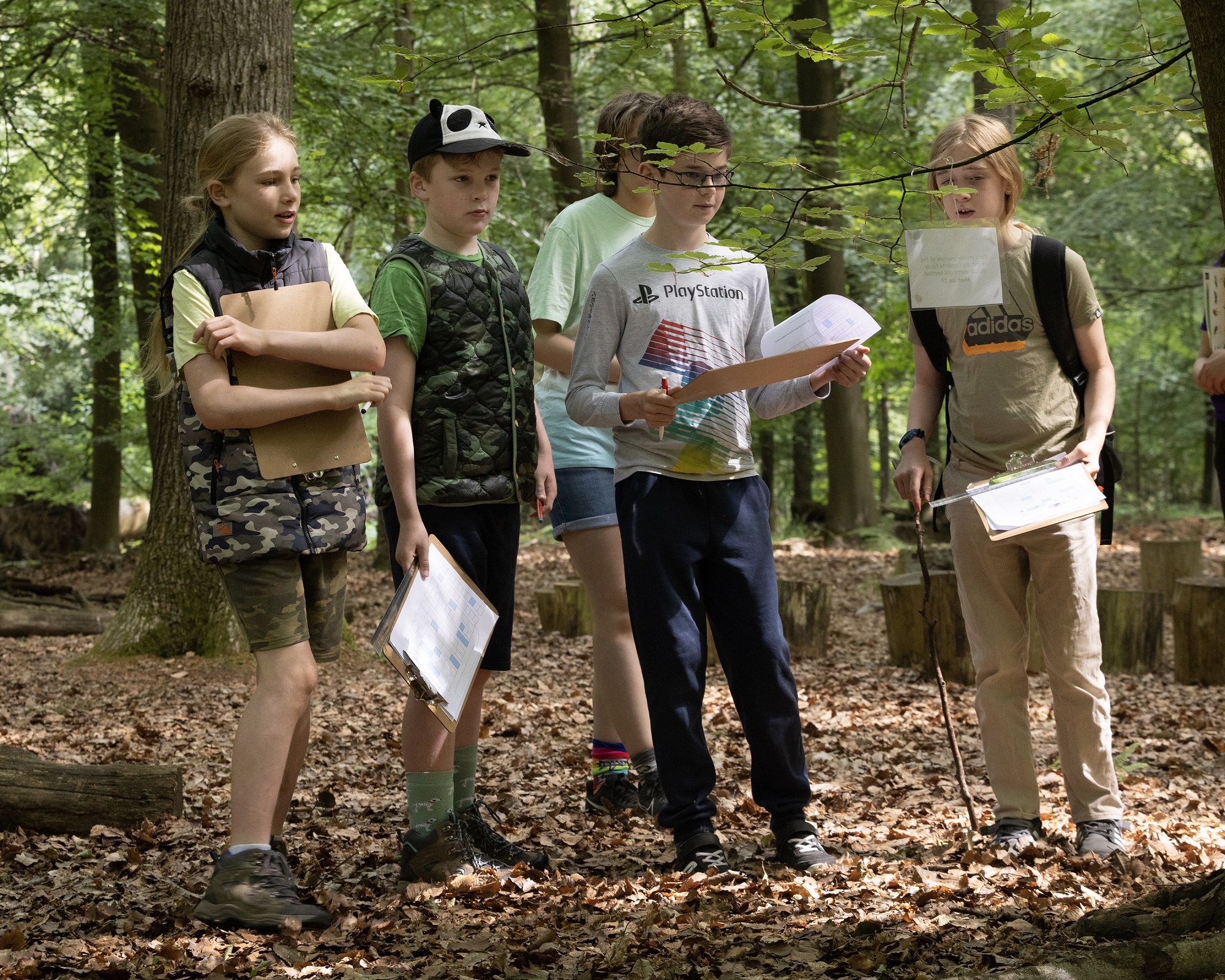 Five young people walking amongst the trees on a wildlife trail.