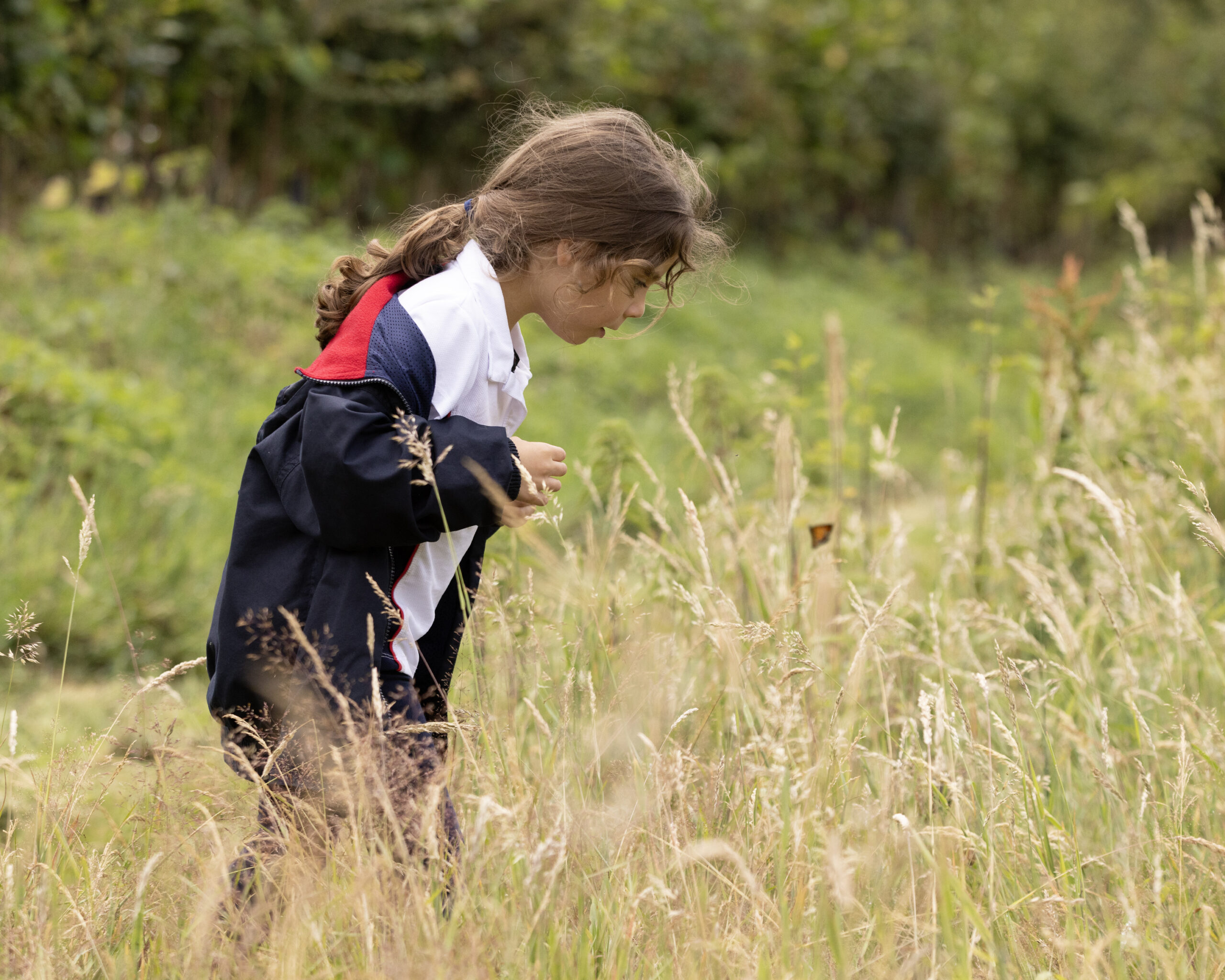 Young child looking at a butterfly in long grass.