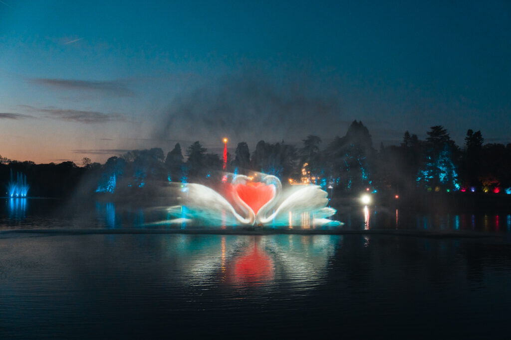 Windsor Illuminated - two swans projected on to a mist of water.