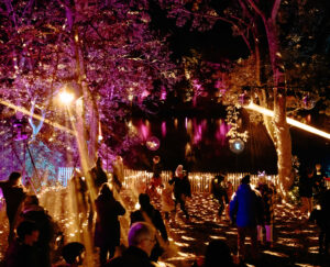 Multi-coloured lit area in a woodland with people dancing under the trees.