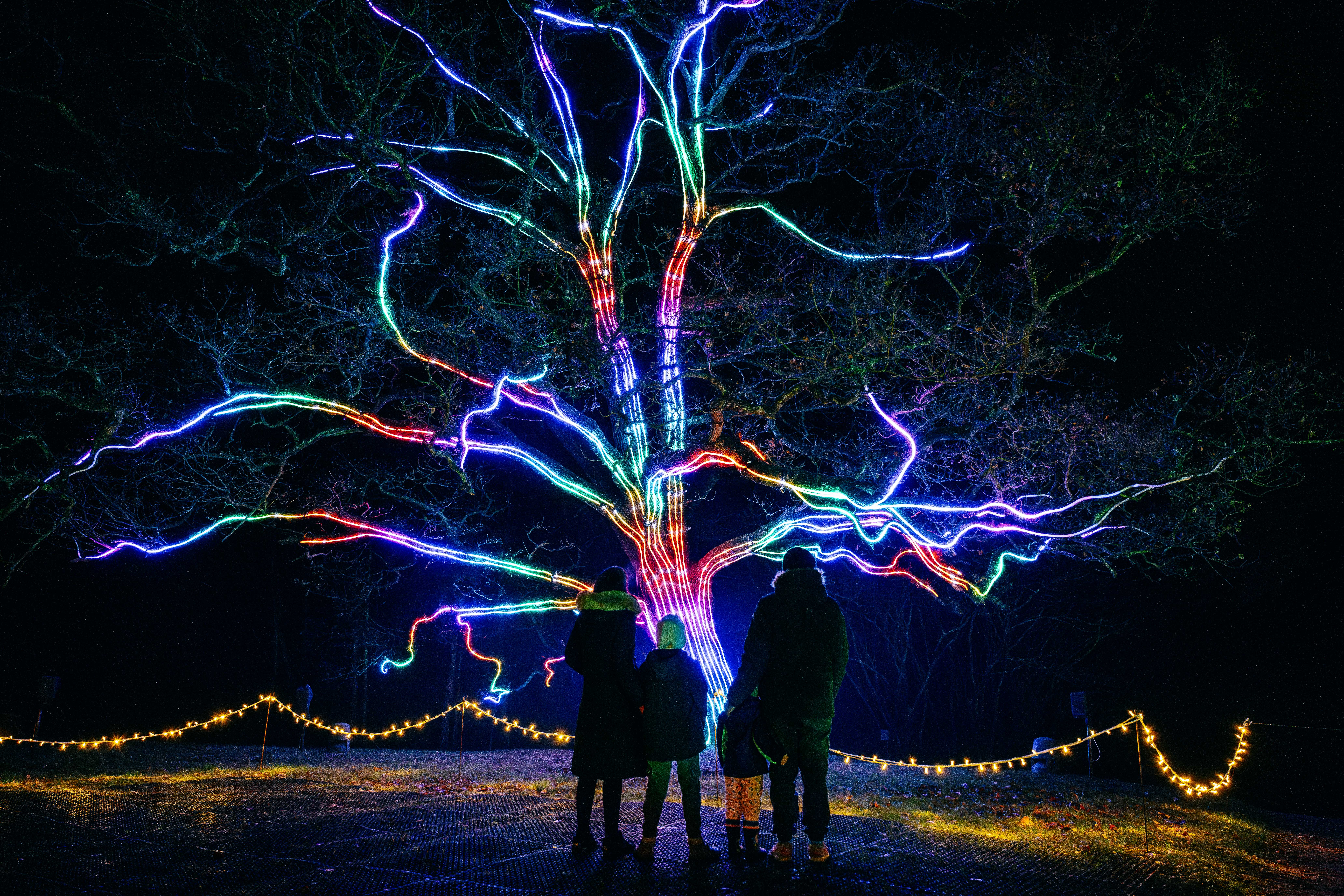 Multi-coloured lit tree with family standing in front and looking up.