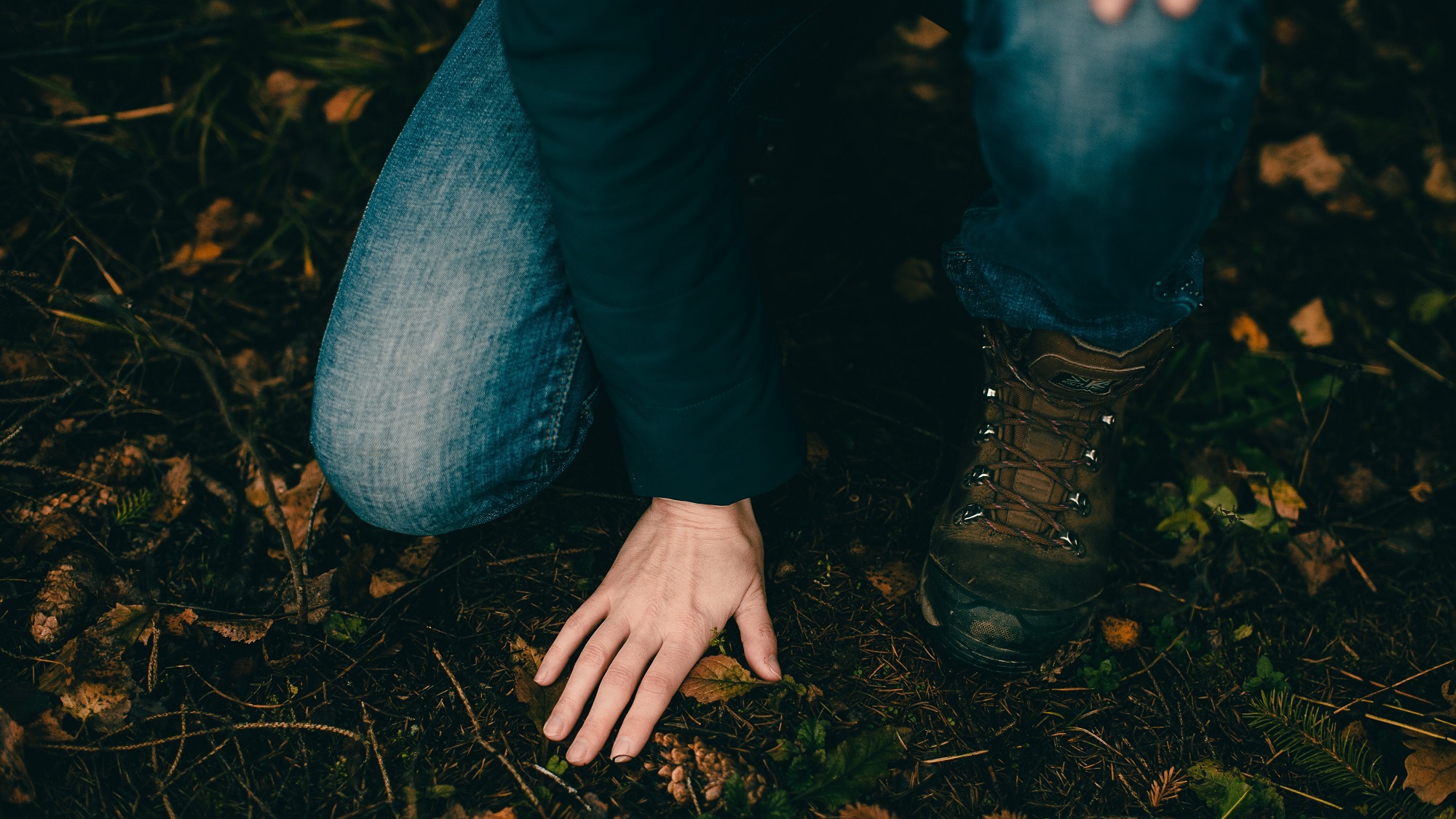 An adult kneeling down with palm touching the forest floor.