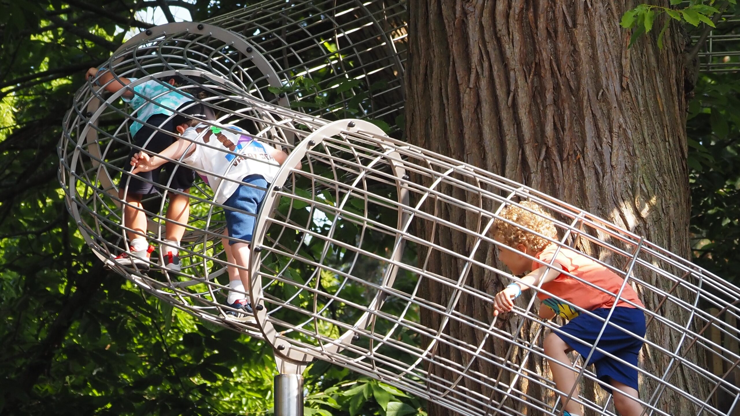 Three young children climbing through a metal frame that wraps around a tree.