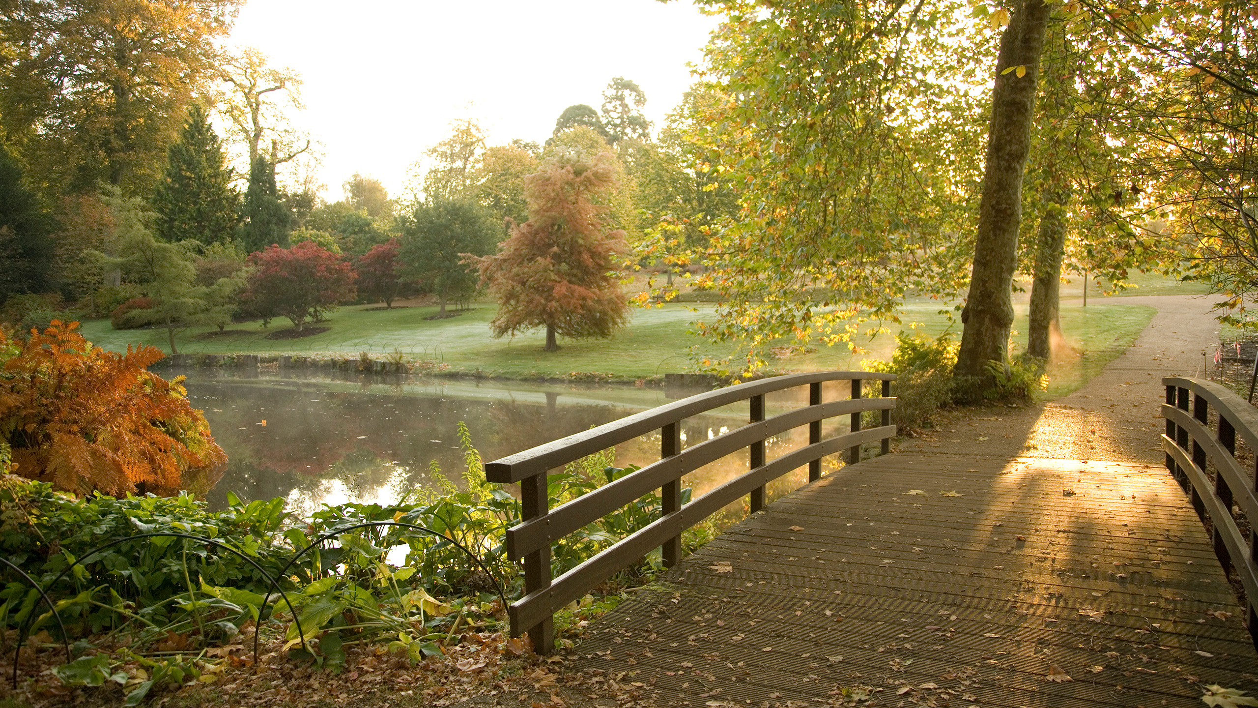 A wooden bridge on the right side of the picture, stretches over water to a footpath. Trees filled with autumn leaves can be seen on the other side of the bank with light falling between the leaves and catching a haze of mist over the water.