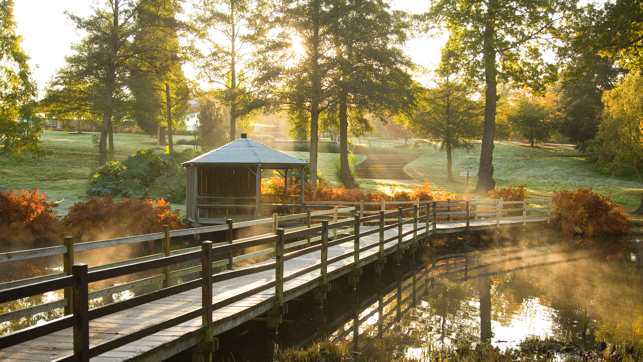 A wooden bridge over water stretching from the bottom left of the picture. On the other side of the pond is a grassy bank with trees. Sunlight steams through the trees, catching the mist above the water.