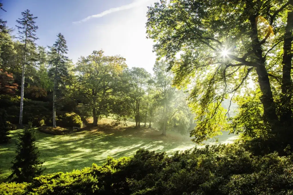 Autumn view of The Valley Gardens.