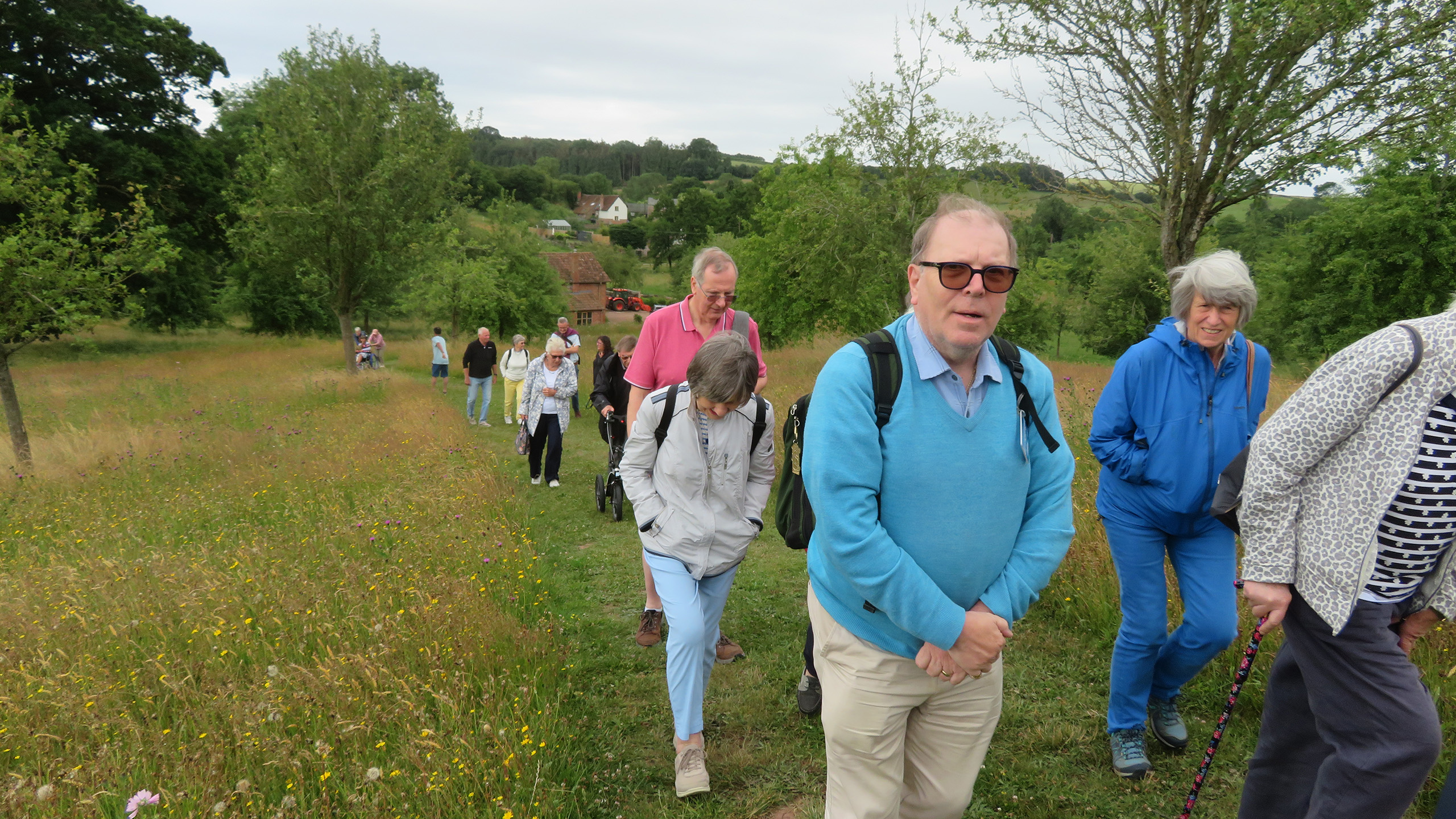A live of people walk through a wildflower meadow, along a mown footpath, walking up a hill towards the camera. In the distance are trees and two buildings.