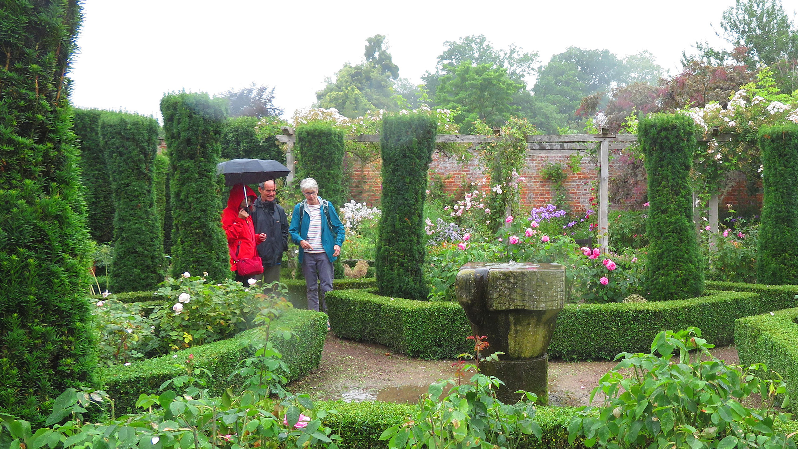Three Friends in rain coats walk through a walled garden with tall green yew hedges with smaller uniform garden borders surrounded by low hedges