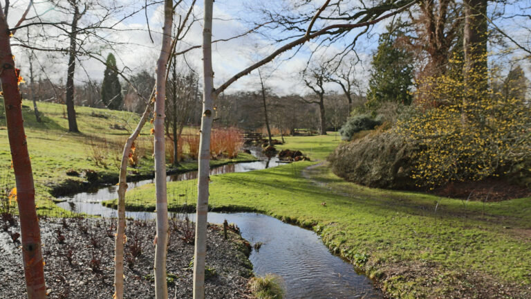 A stream meanders out of shot, flanked by bare white trees and grass