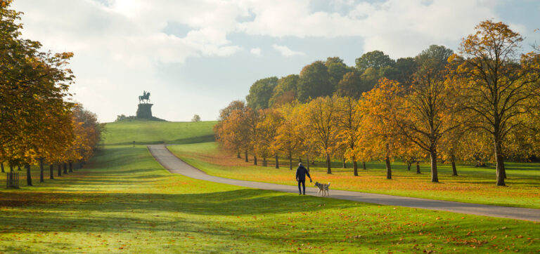 An autumn view of The Long Walk, lined by trees with a statue in the background.