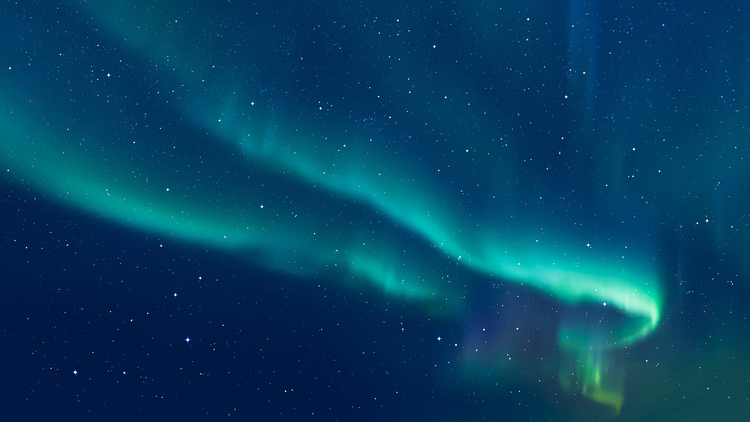The aurora borealis -twisting streams of light in a dark sky with stars