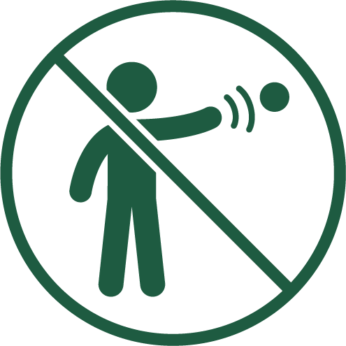 No balls, frisbees and balloons icon.