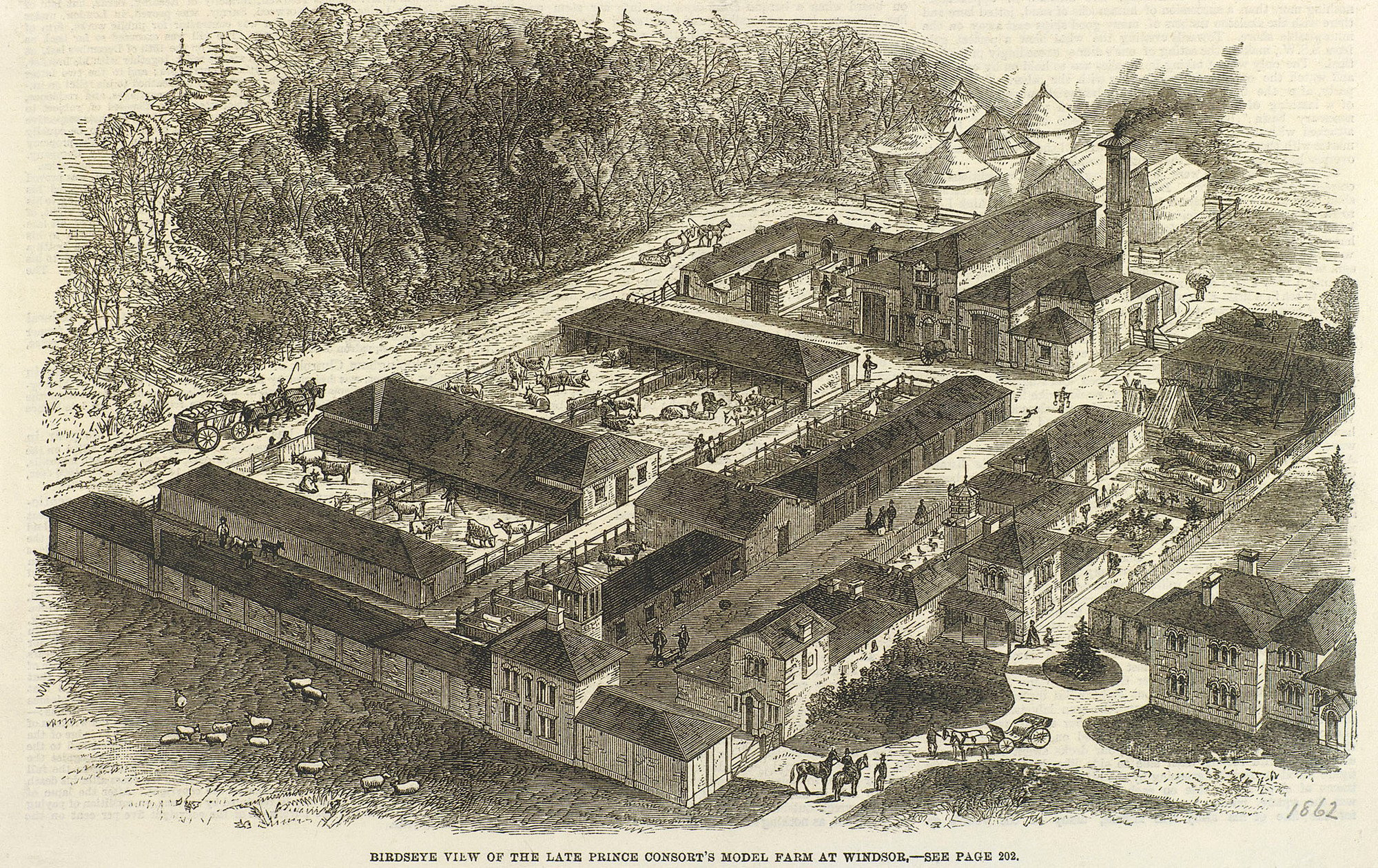 A wood engraving of a view of Prince Albert's Model Farm at Windsor.