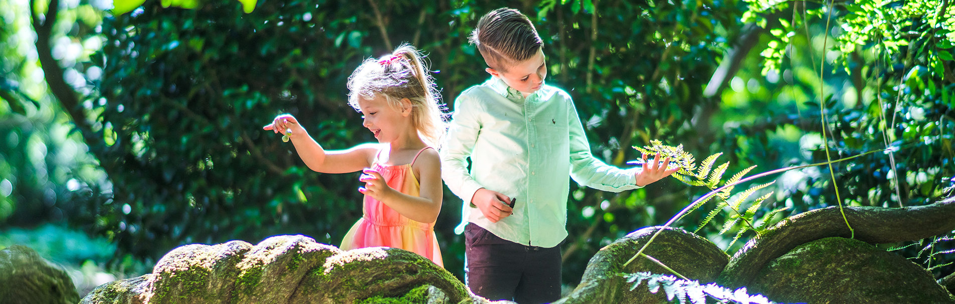 Two children standing in the Forest.