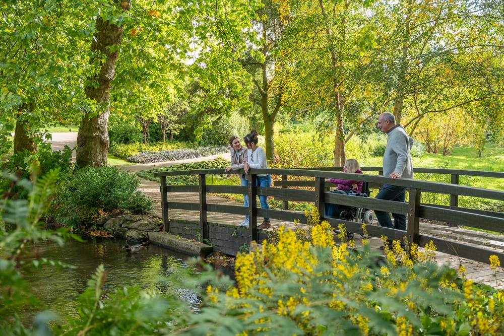 Four adults on a bridge in The Savill Garden surrounded by greenery on a sunny autumn day.