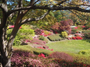 The Punchbowl in the Valley Gardens