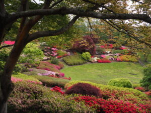 The Punchbowl in the Valley Gardens