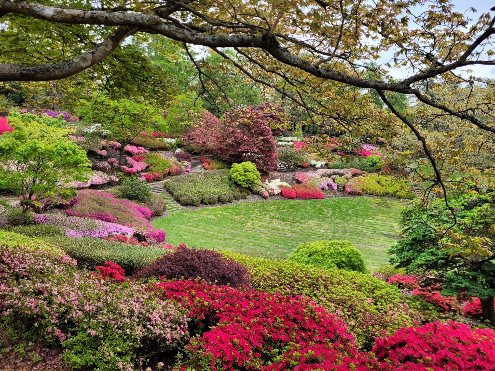The Valley Gardens Punch Bowl surrounded by flowering shrubbery