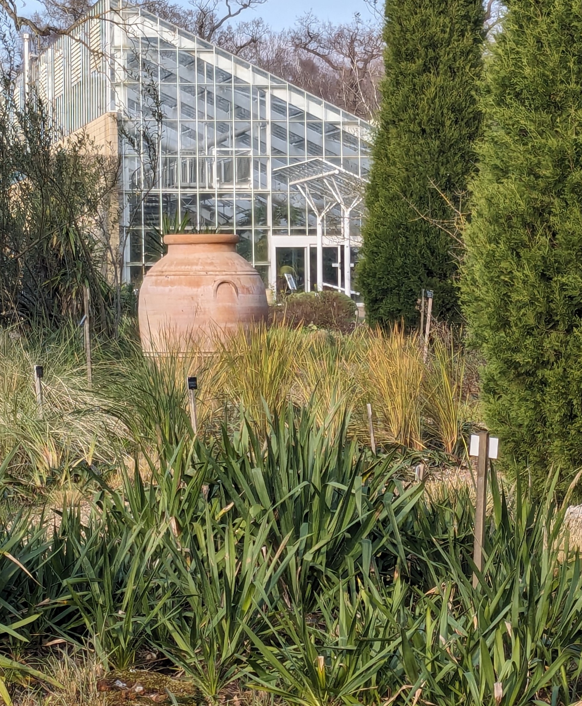 An urn in the Dry Garden with the Queen Elizabeth Temperate House in the background.