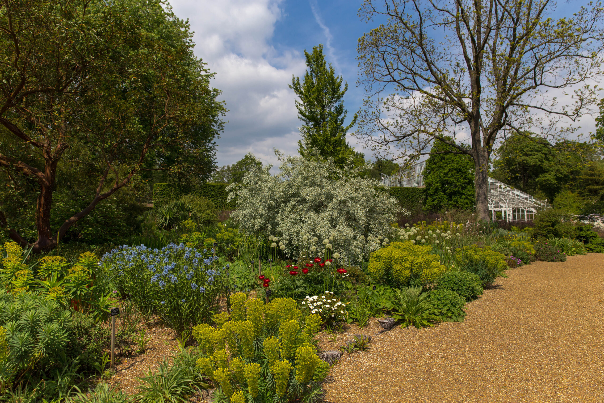 The Dry Garden in summer.