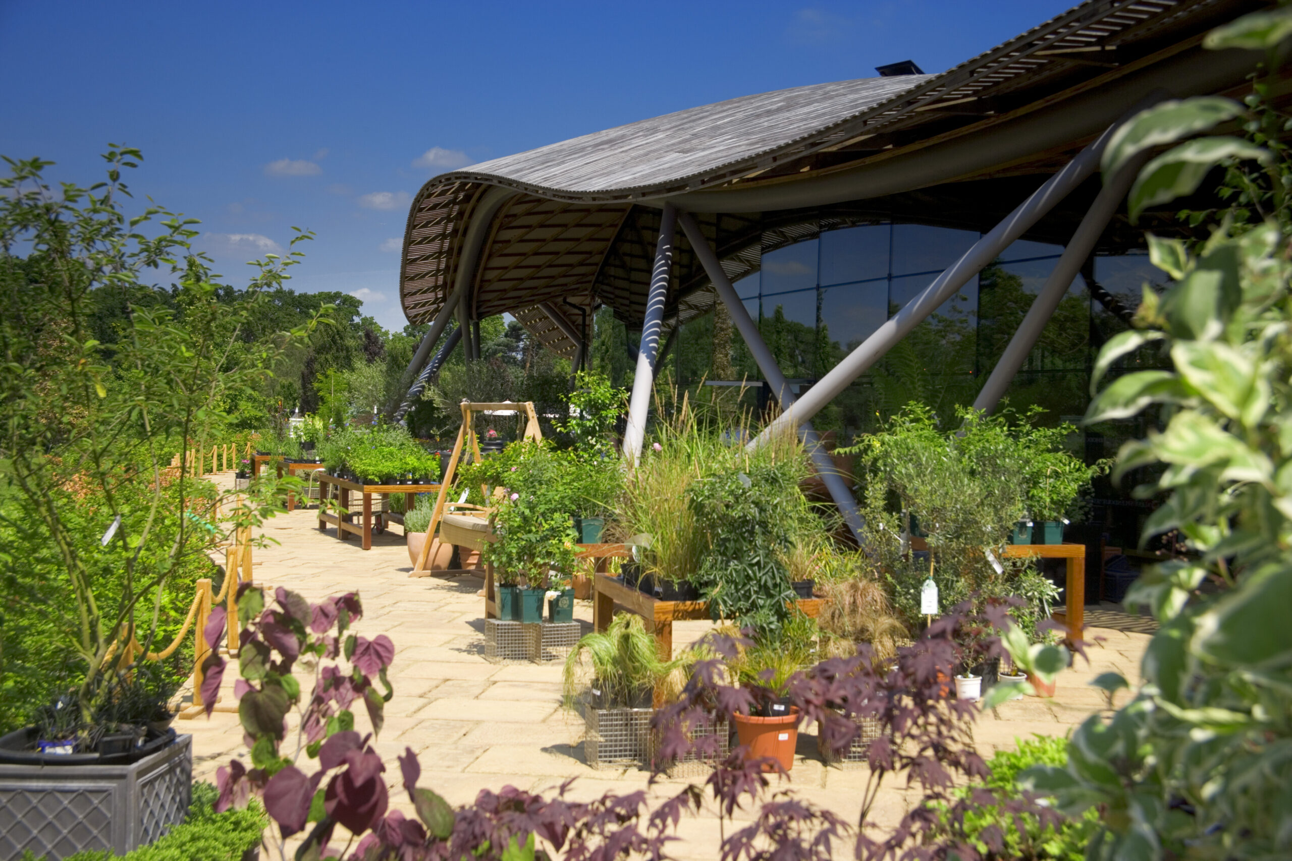 The exterior roof of The Savill Garden Visitor Centre from the Plant Terrace.
