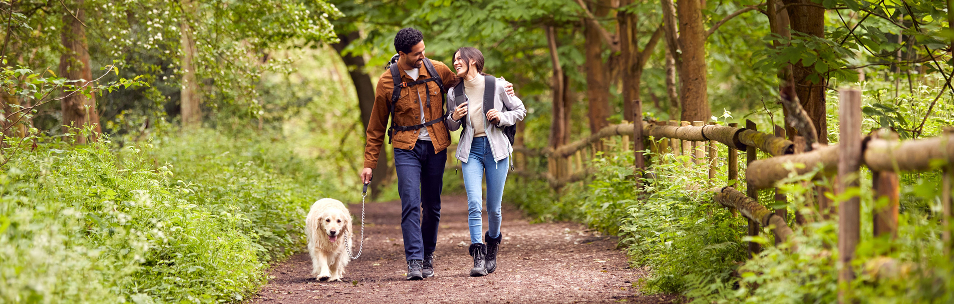Young couple with a Golden Retriever walking through the Forest.