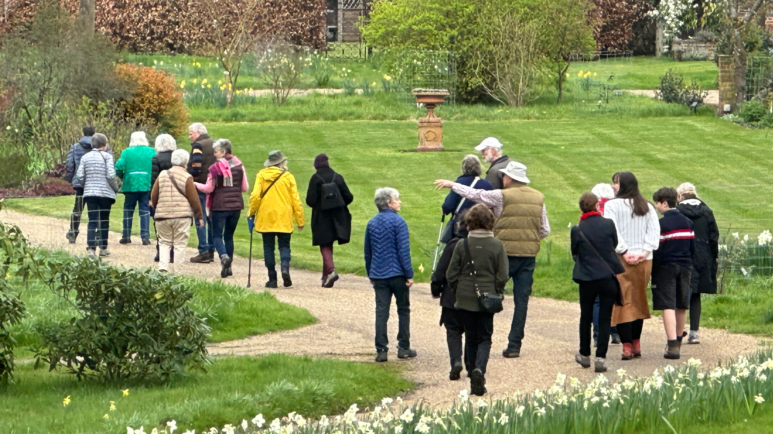 A group of people walking away from camera along a footpath, with daffodils in the foreground.