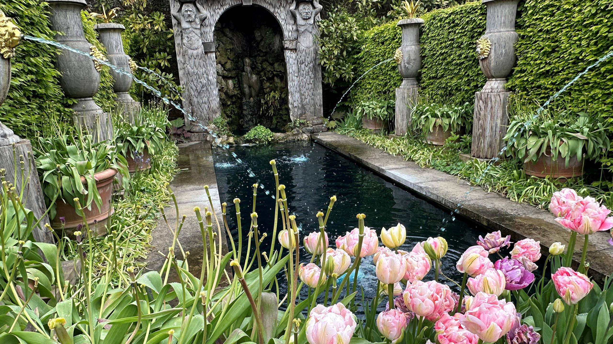 A water fountain with tulips in the foreground.
