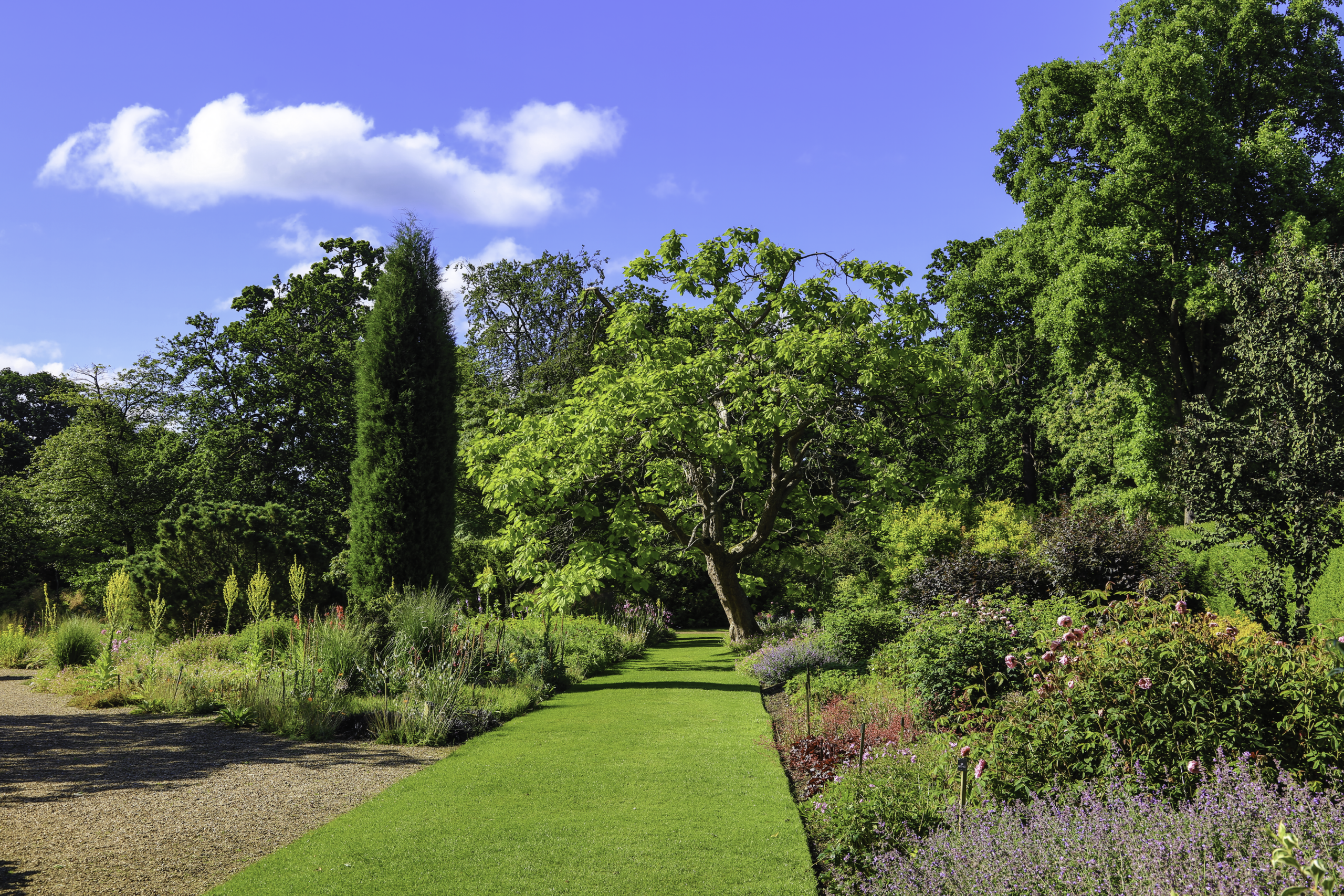 the end of a footpath in the Dry Garden flanked by Mediterranean plants and trees 