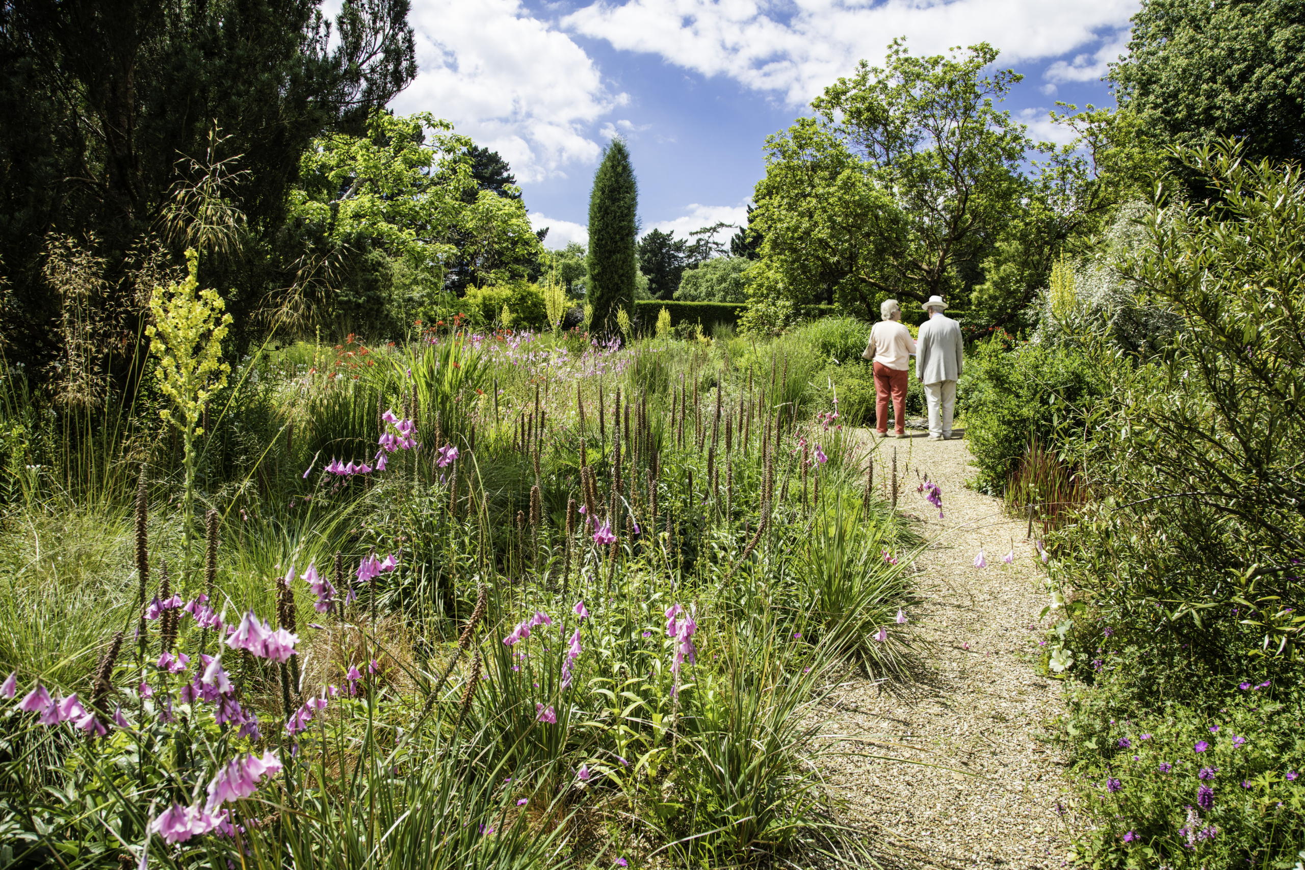 Two people at the end of a footpath in the Dry Garden flanked by Mediterranean plants and trees 