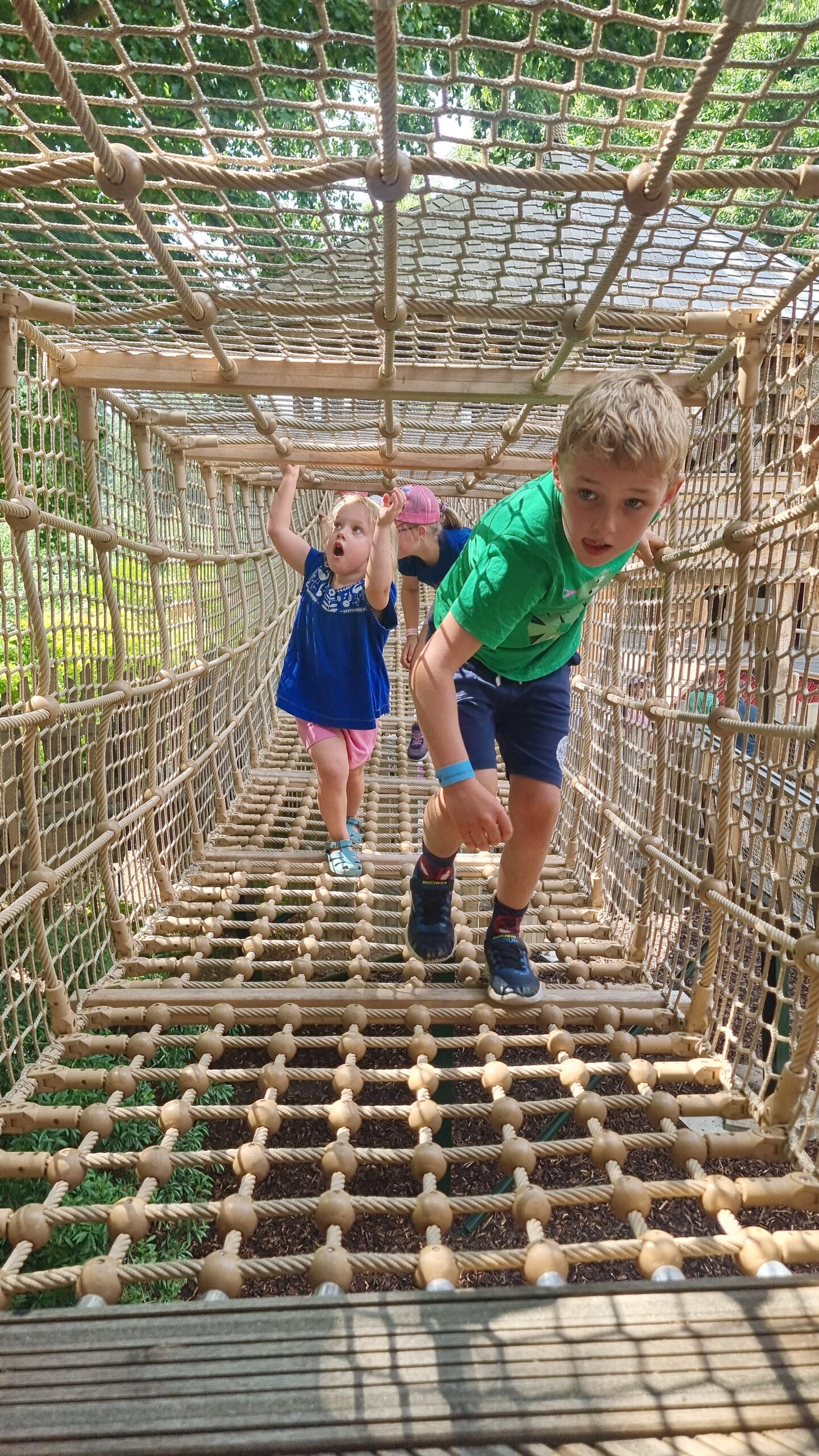 Young children climbing through a square net rope bridge.