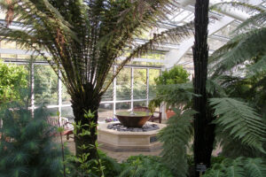 A funnel shaped water feature on a hexagonal foundation inside a glasshouse.