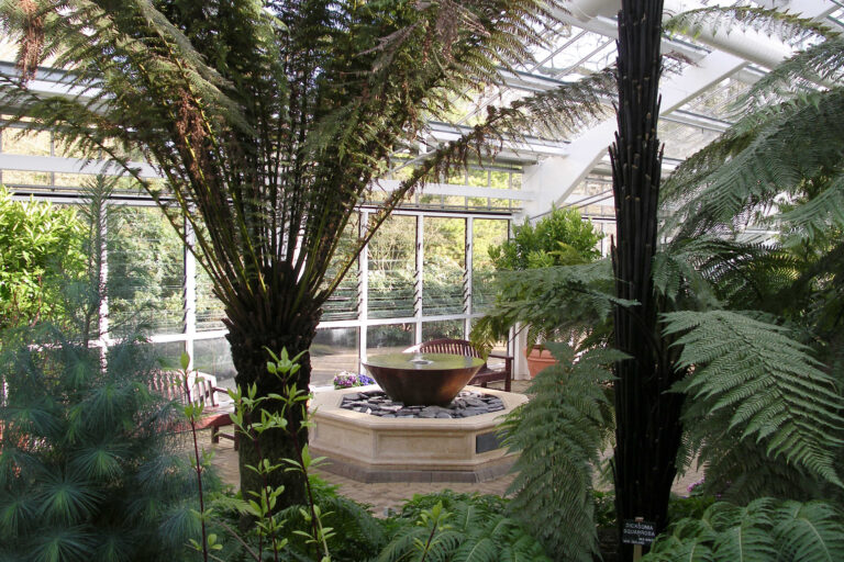 A funnel shaped water feature on a hexagonal foundation inside a glasshouse.