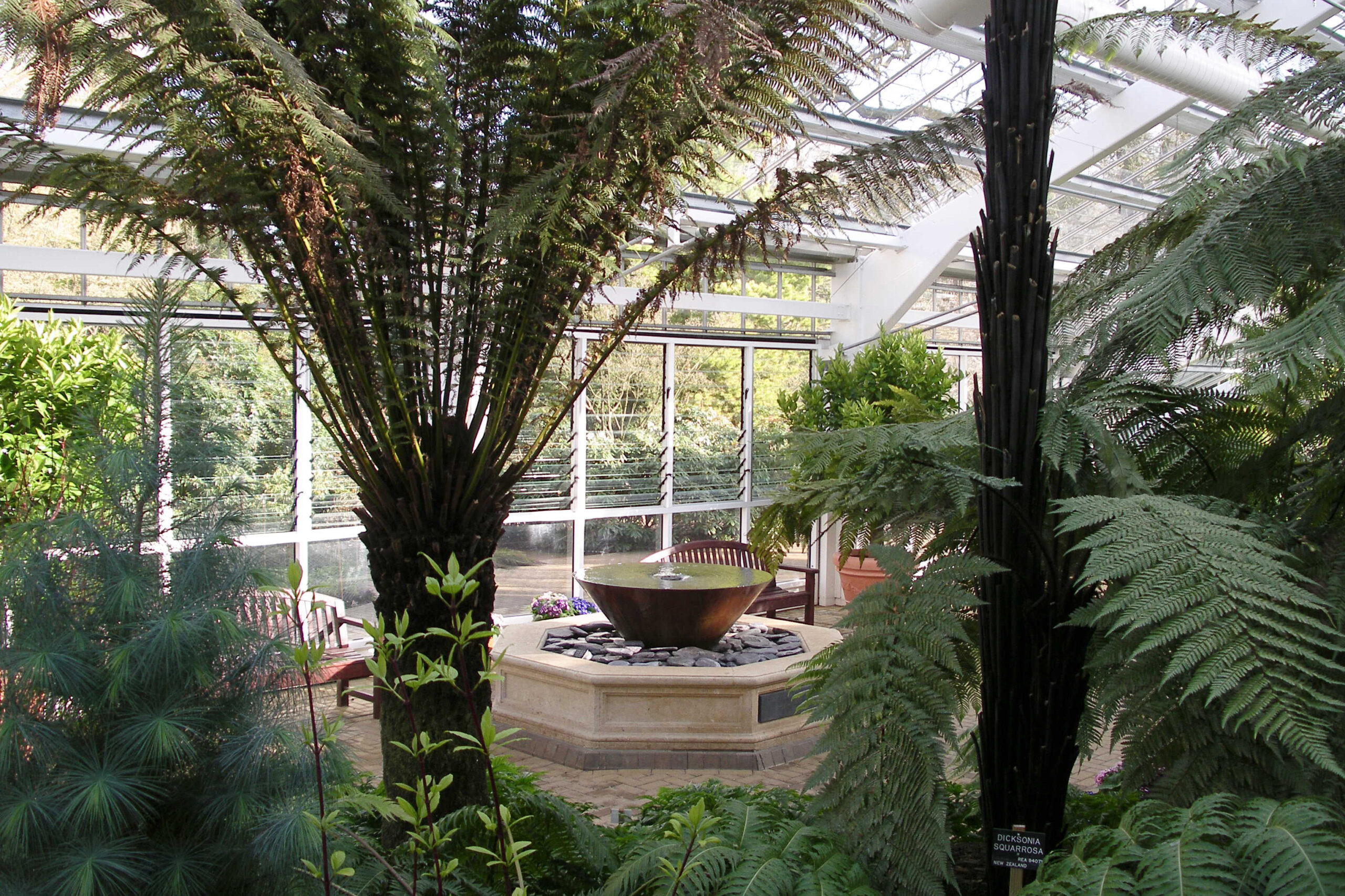 A funnel shaped water feature on a hexagonal foundation inside a glasshouse.