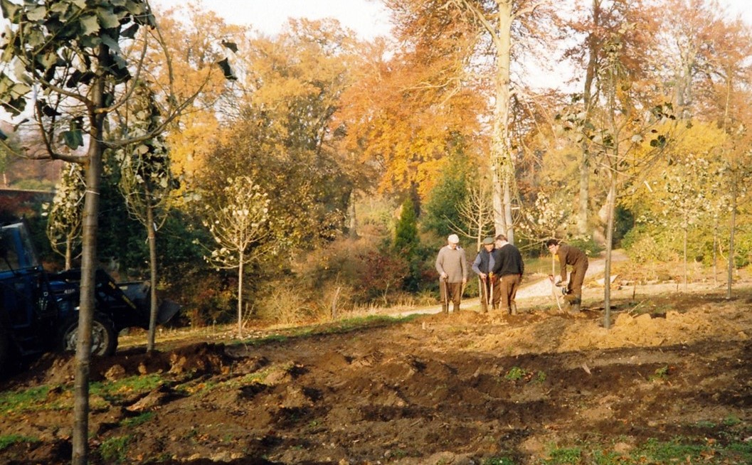 Four people standing amongst bare earth, mounds of soil and small trees.