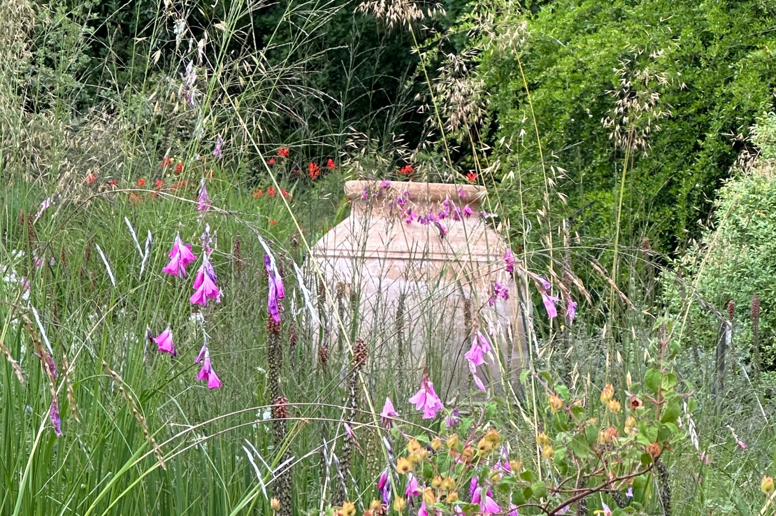 A large urn flanked by tall swathes of grasses.