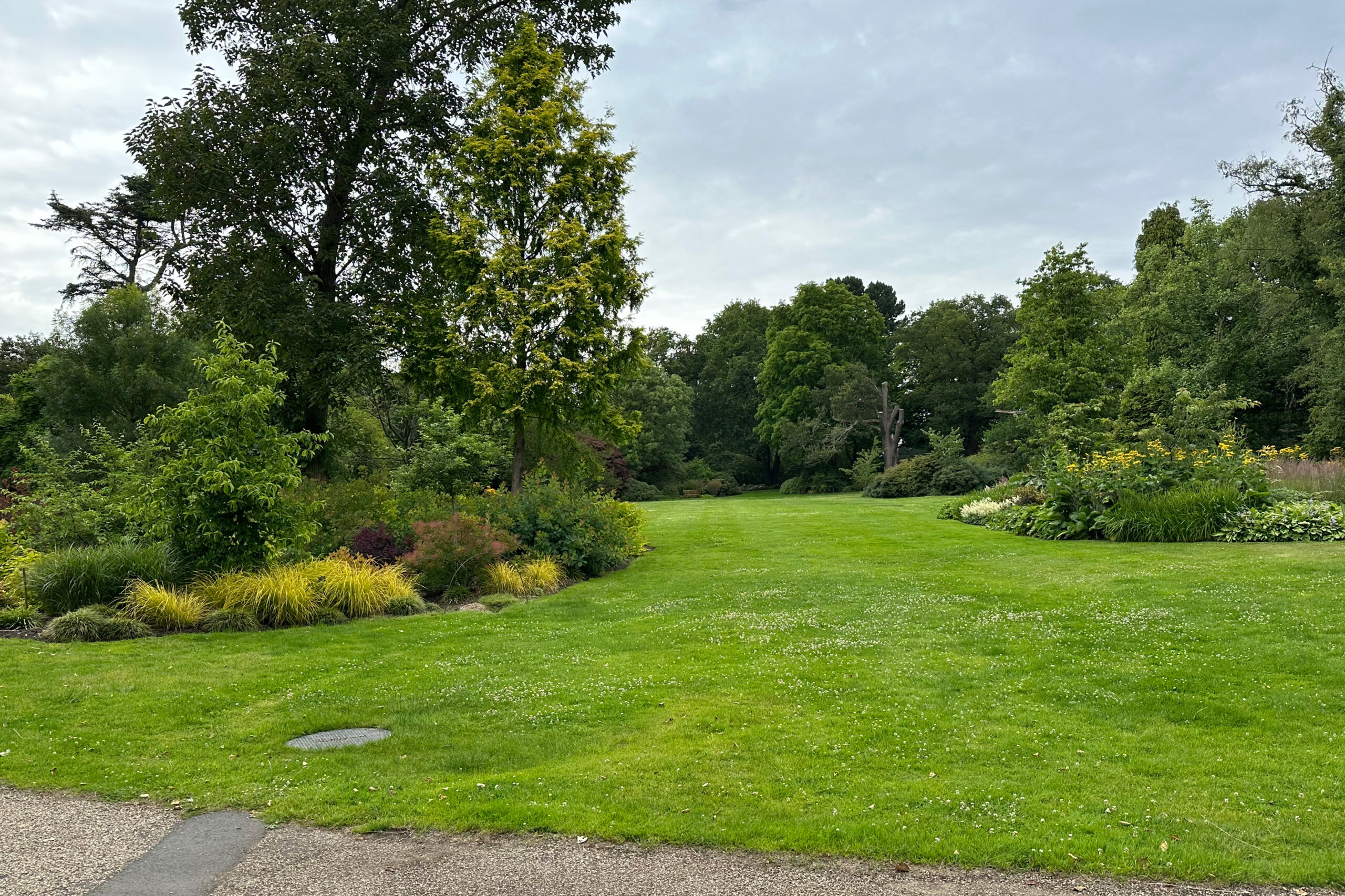 A grass lawn with a line of trees in the background.