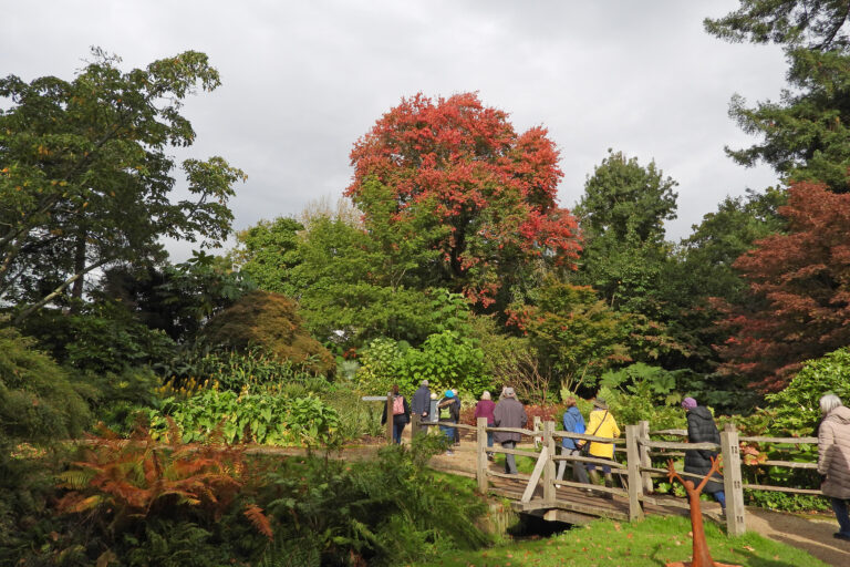 Friends walking along a wooden bridge with autumn colour in the background.