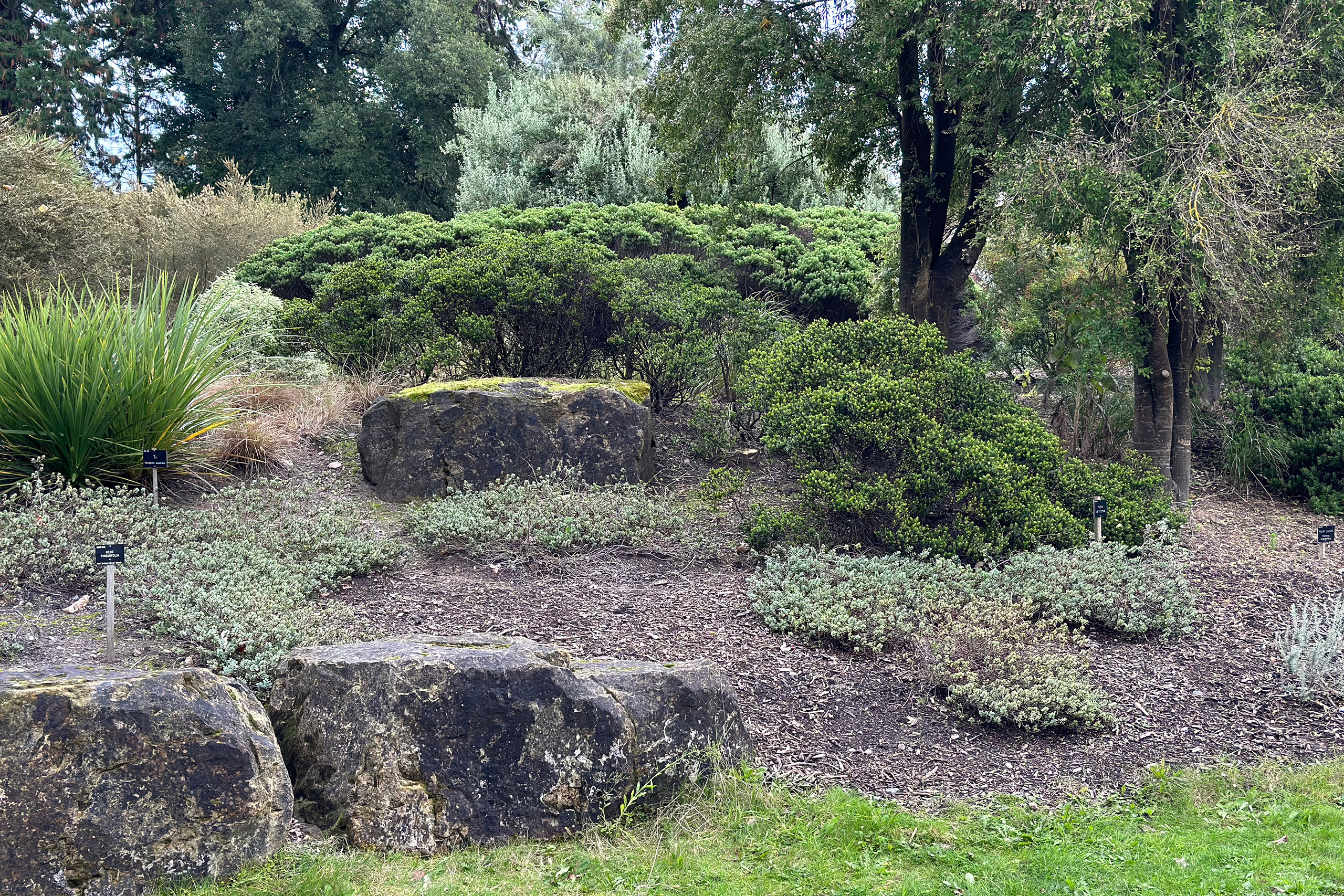 Grassy borders and stone in the New Zealand Garden.