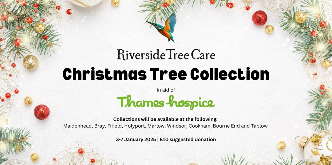 Image block promoting the Thames Hospice Christmas Tree Collection service.